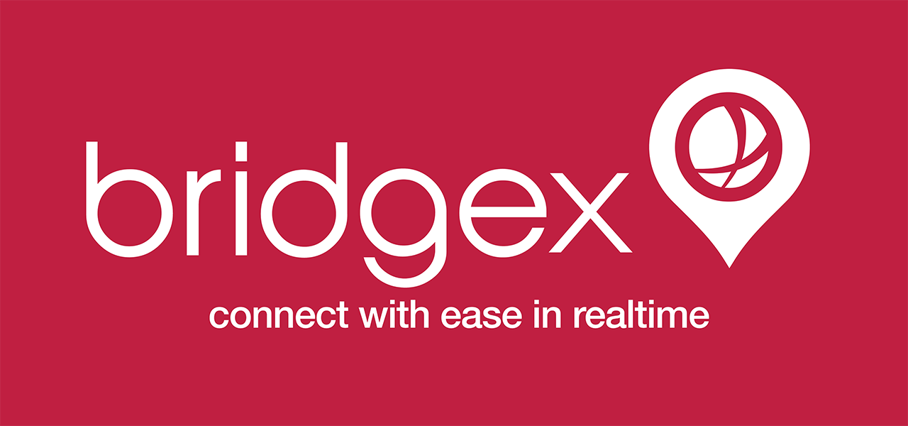 BridgeX-1280x600
