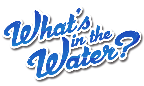 What's in the Water? logo
